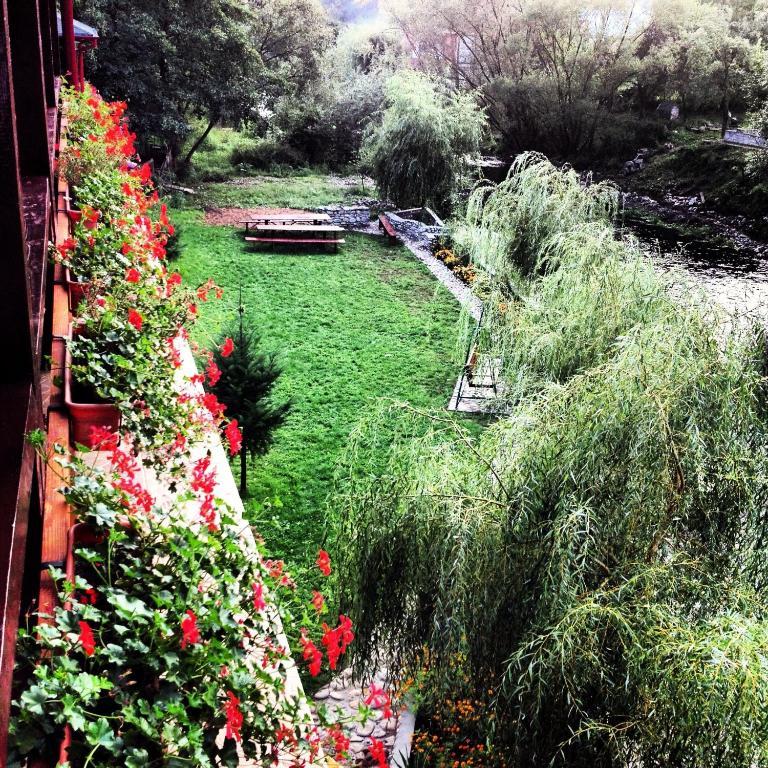 Pension Cuibul Viselor Băile Herculane Exterior foto